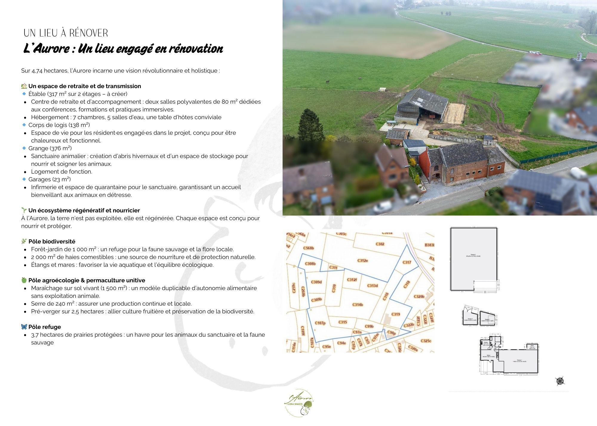 designe-aurore-3