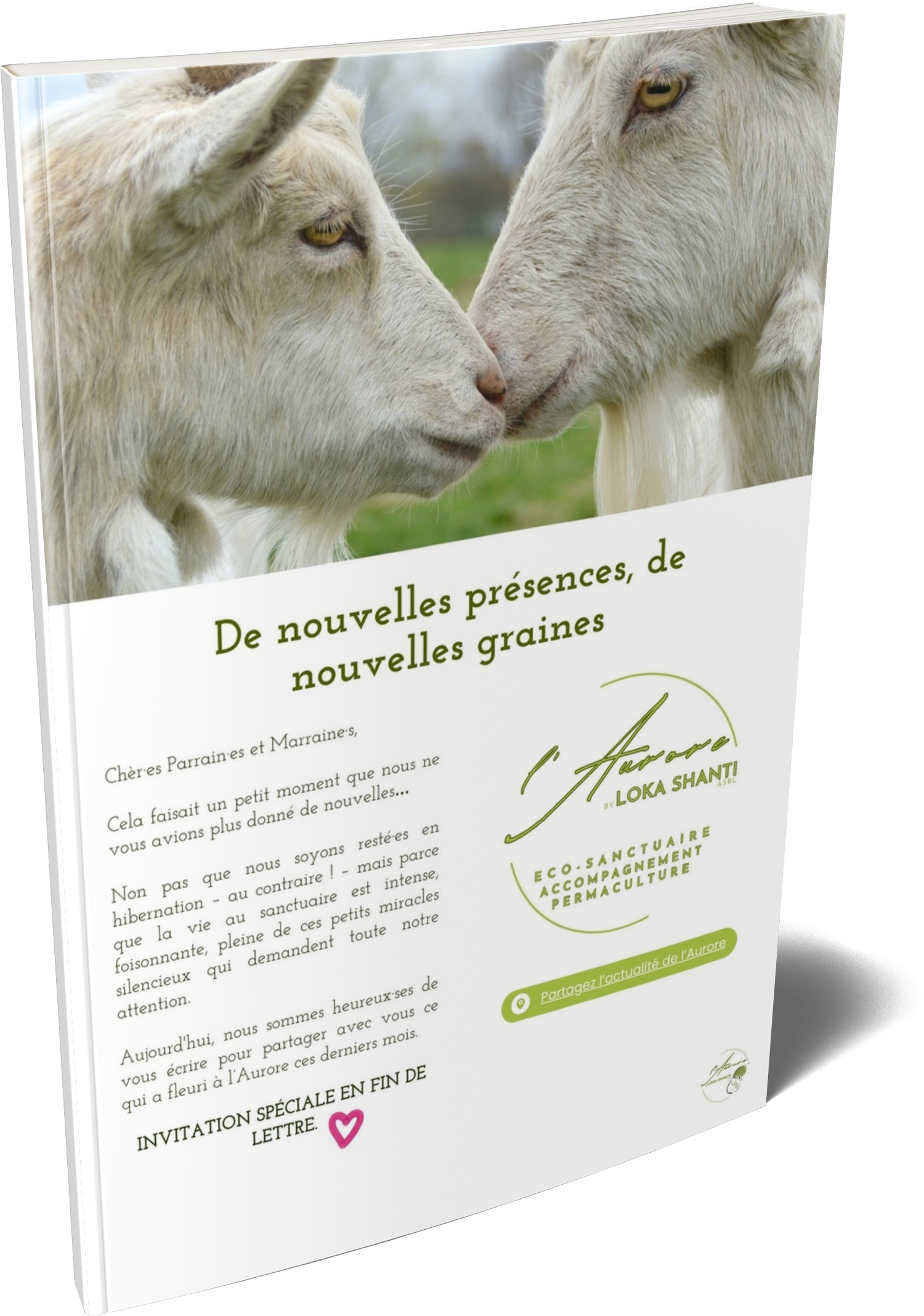 cover-lettre